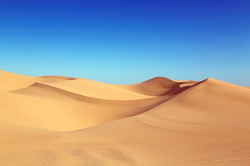 Desert Exploration